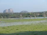 Yala National Park